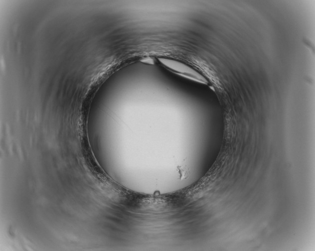 X0000094780354200712071210