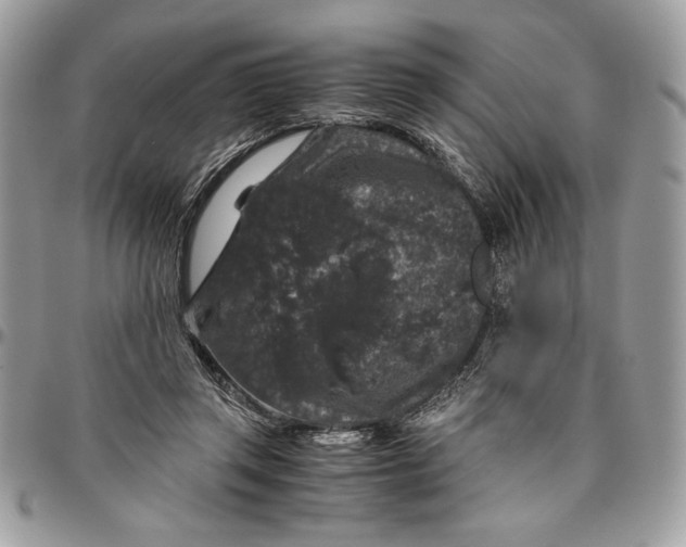 X0000094780357200712071210