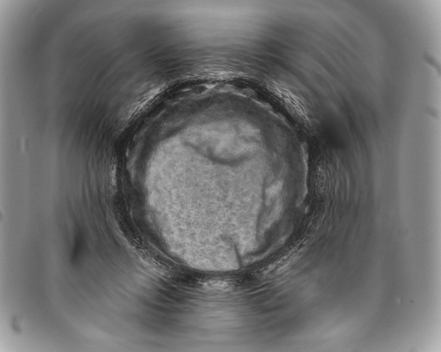 X0000094780358200712071210