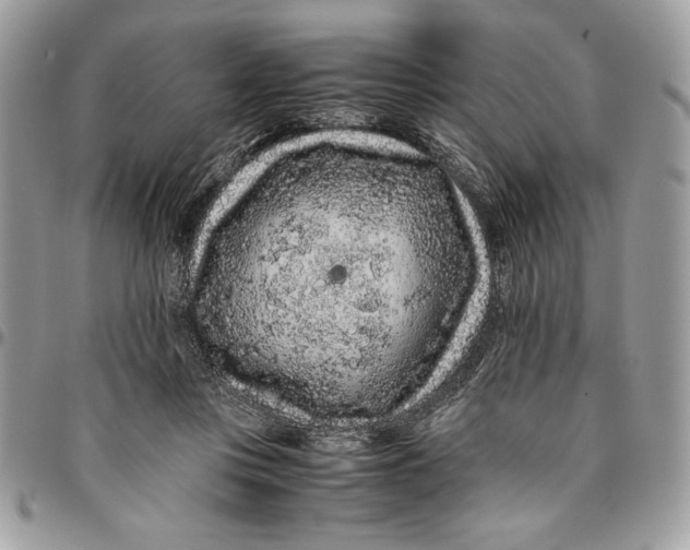 X0000094780359200712071210