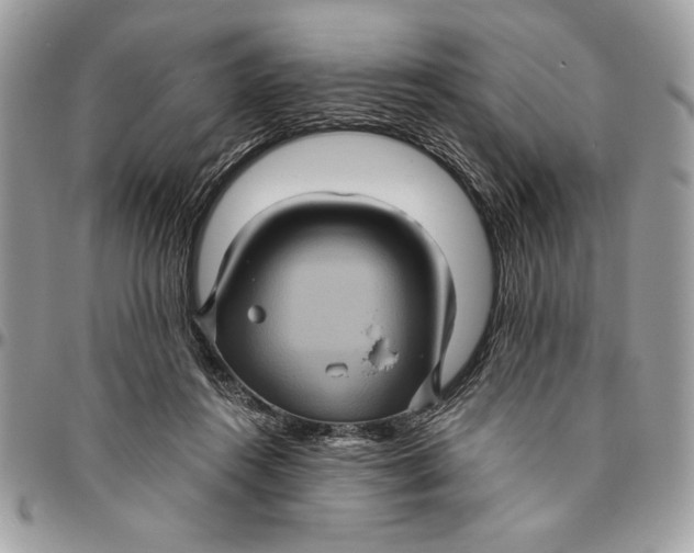 X0000094780360200712071210