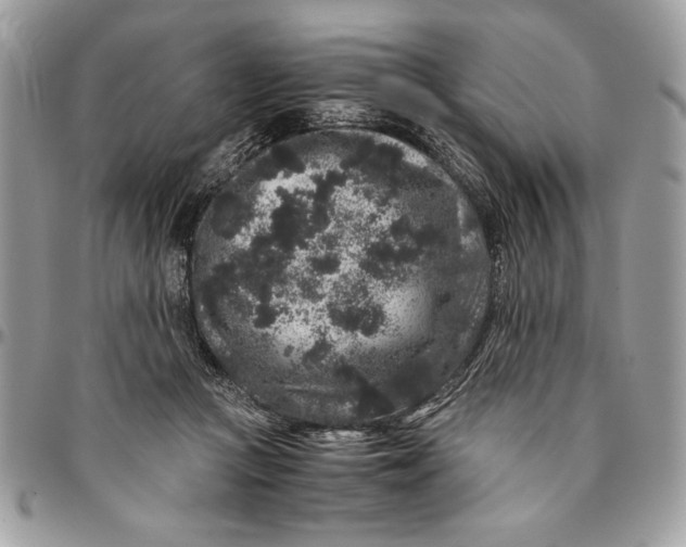 X0000094780361200712071210