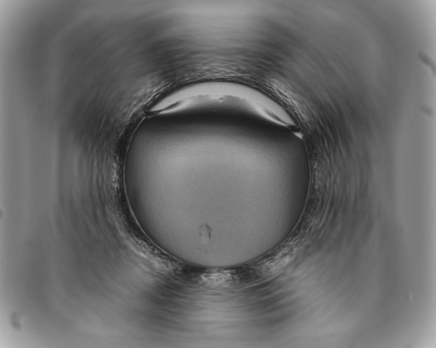 X0000094780362200712071210