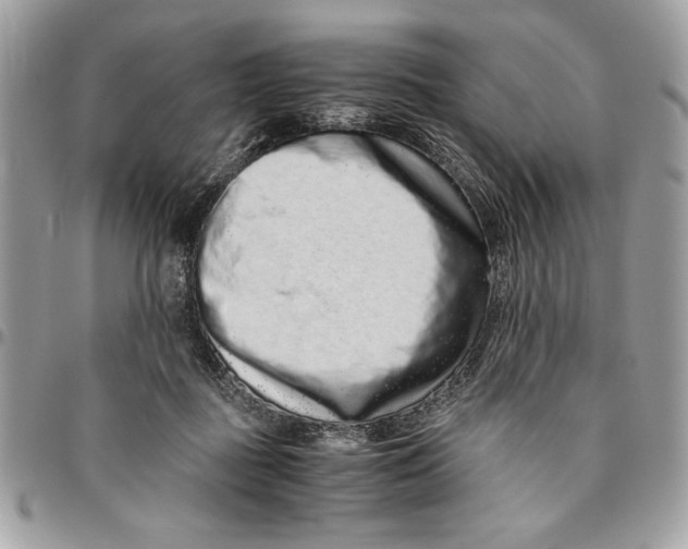 X0000094780363200712071210