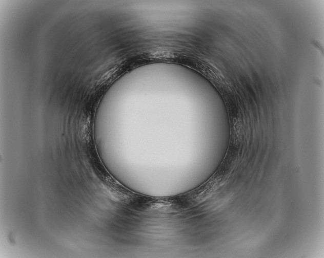 X0000094780364200712071210