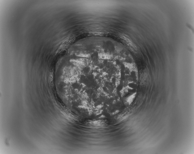 X0000094780365200712071210