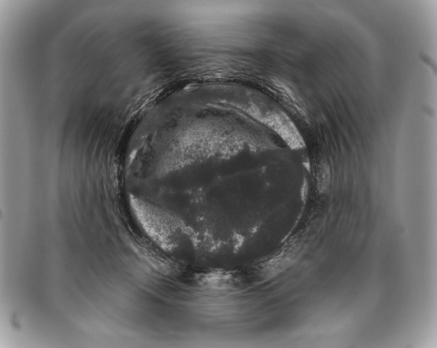 X0000094780366200712071210