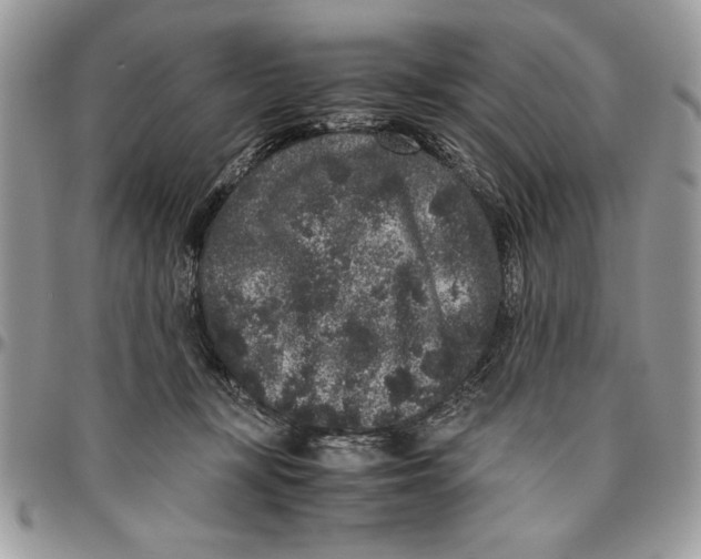 X0000094780367200712071210