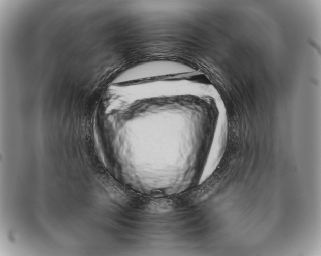 X0000094780369200712071210