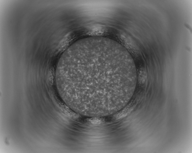 X0000094780370200712071210