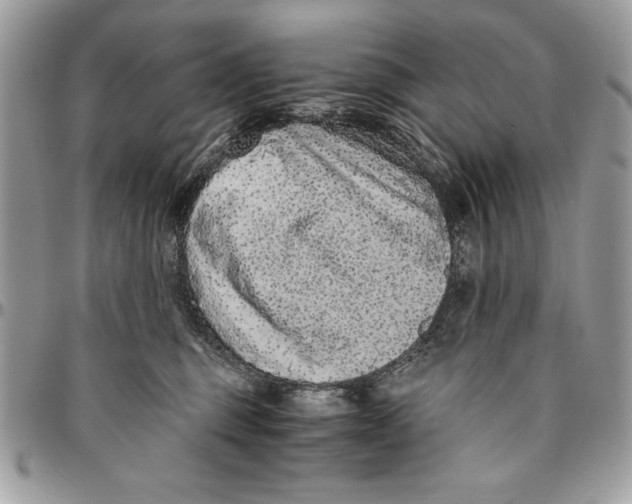 X0000094780375200712071210