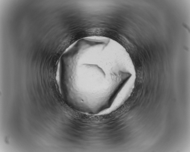 X0000094780377200712071210