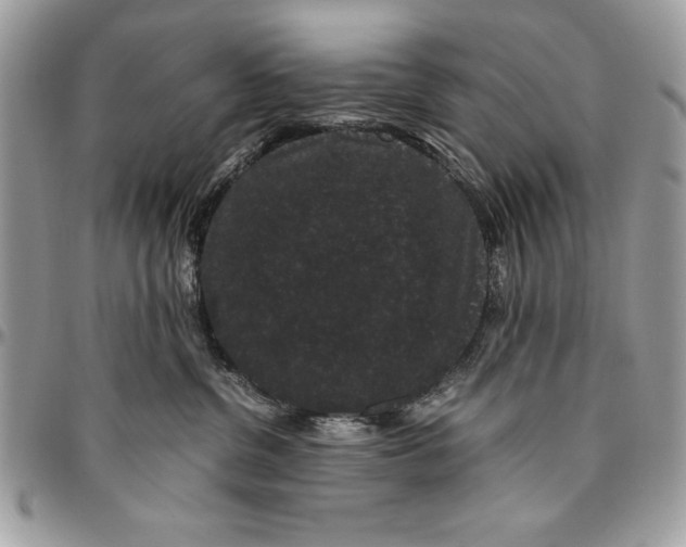 X0000094780380200712071210