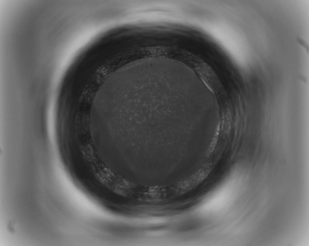 X0000094780383200712071210