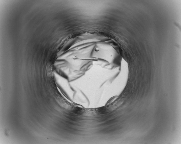 X0000094780384200712071210