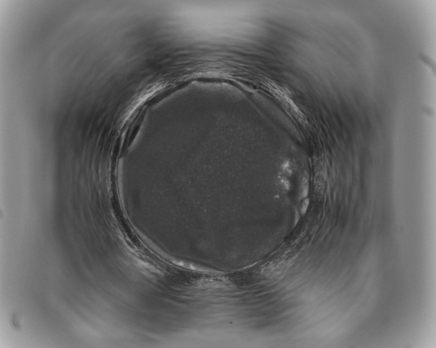 X0000094780386200712071209