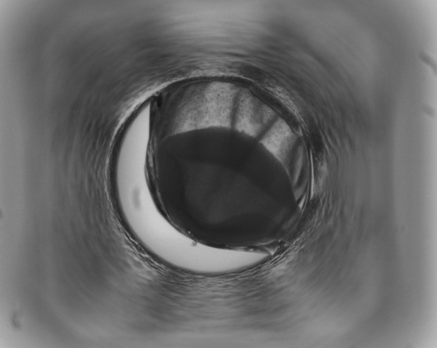 X0000094780387200712071209