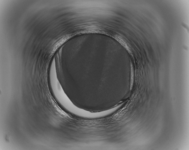 X0000094780389200712071209