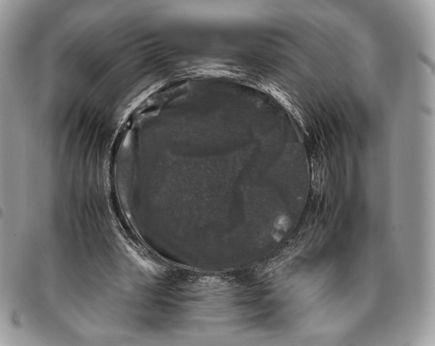 X0000094780390200712071209