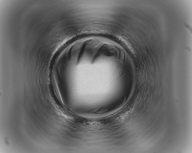 X0000094780395200712071209