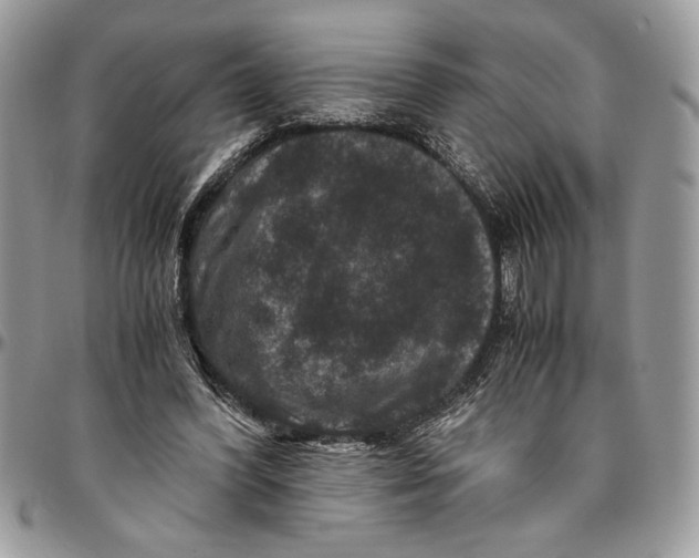 X0000094780396200712071209