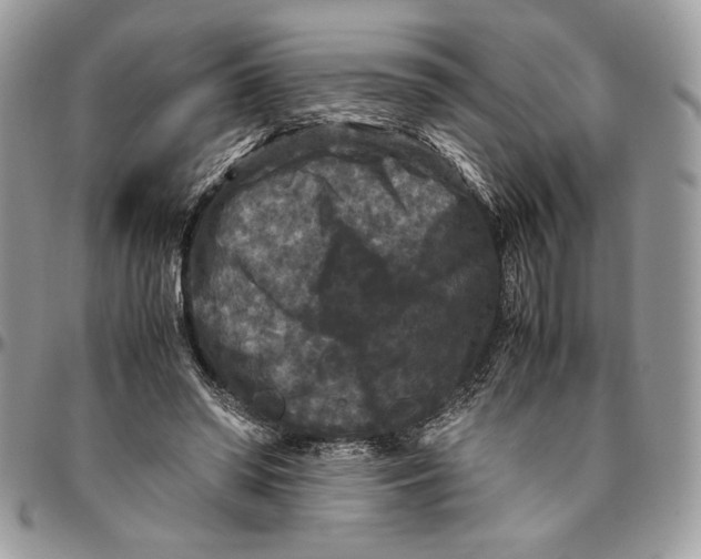 X0000094780398200712071209