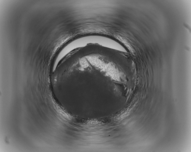 X0000094780399200712071209