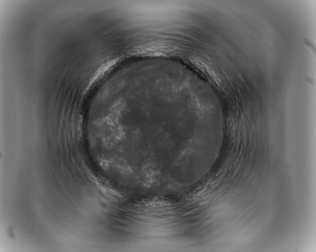 X0000094780400200712071209