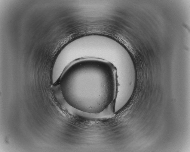 X0000094780401200712071209