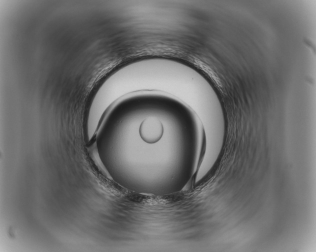 X0000094780403200712071209