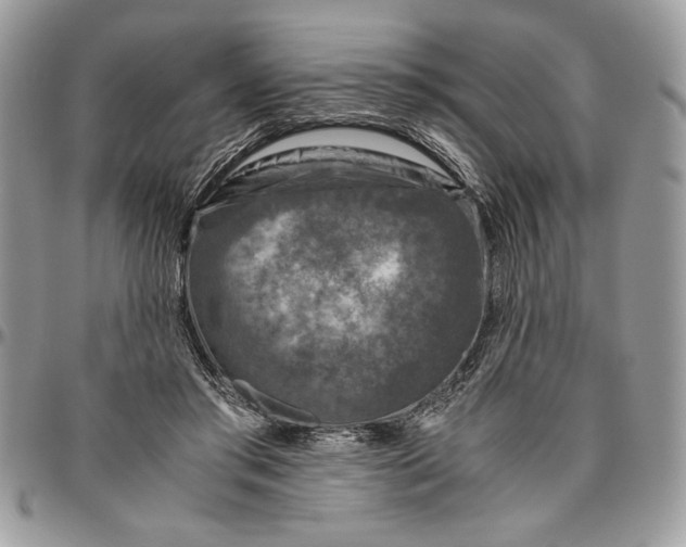 X0000094780405200712071209