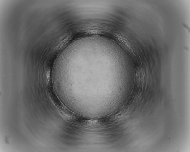 X0000094780406200712071209