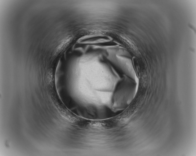 X0000094780407200712071209