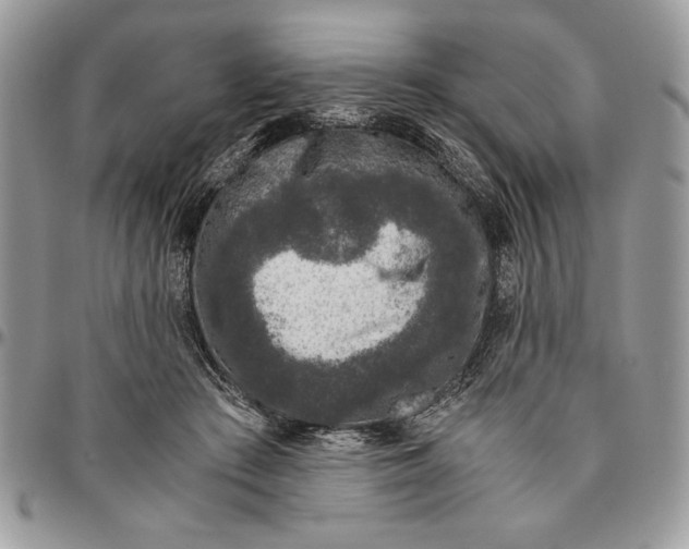 X0000094780409200712071209