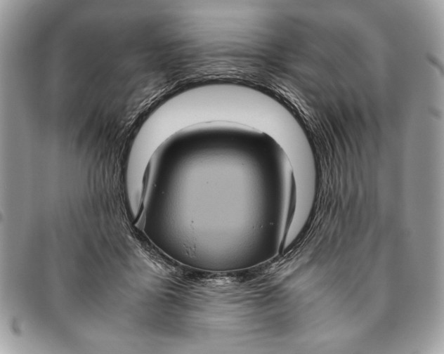 X0000094780411200712071209