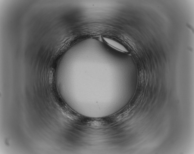 X0000094780412200712071209