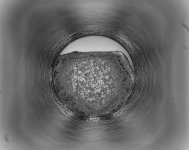 X0000094780413200712071209