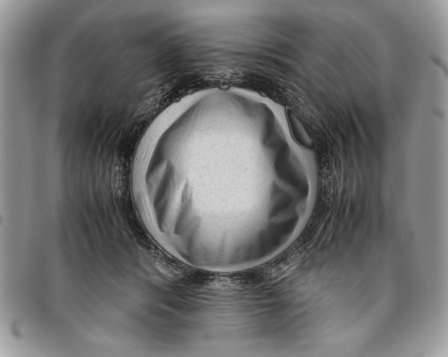 X0000094780416200712071209