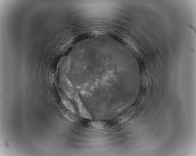 X0000094780417200712071209