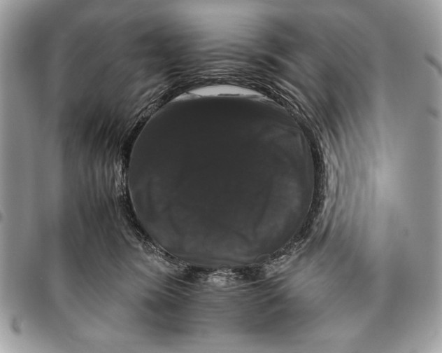 X0000094780420200712071209