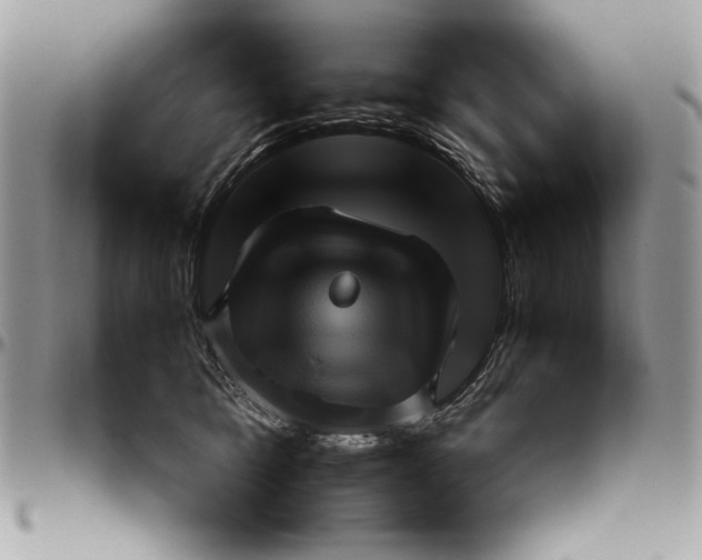 X0000094780421200712071209