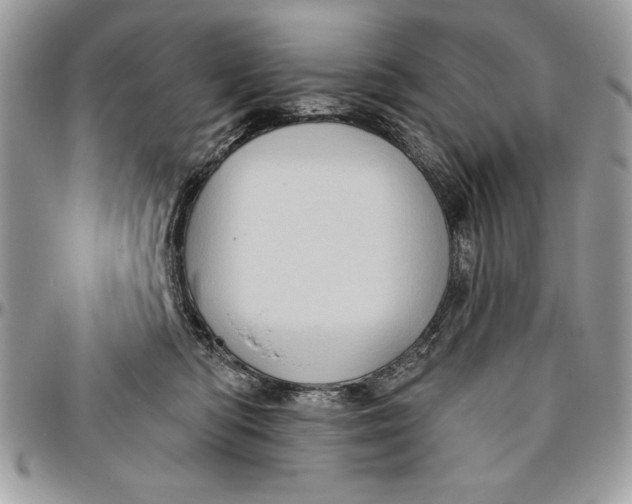 X0000094780422200712071209