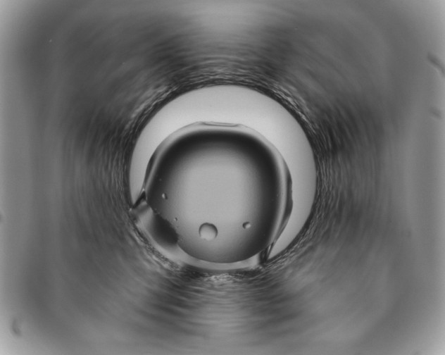 X0000094780423200712071209