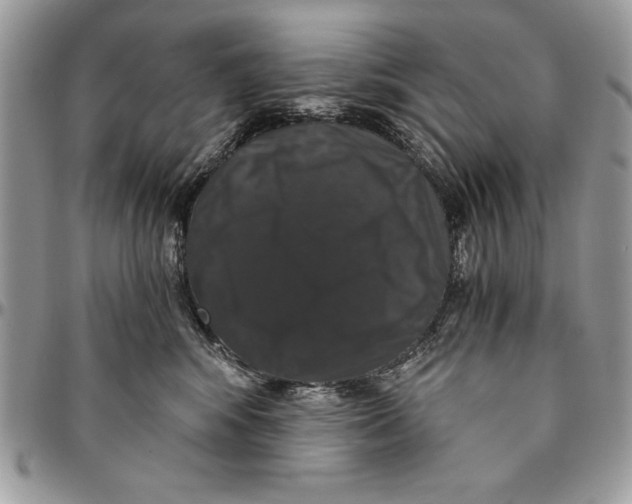 X0000094780424200712071209