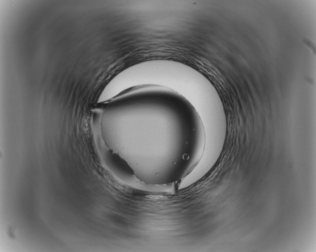 X0000094780425200712071209