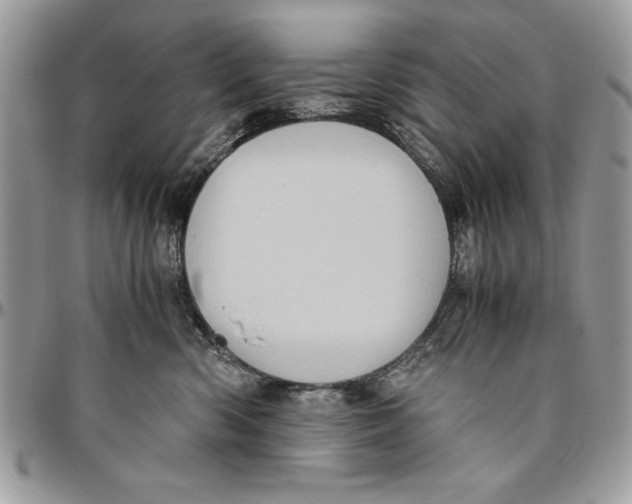 X0000094780426200712071209