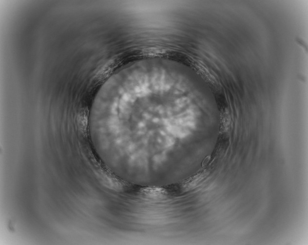 X0000094780427200712071209