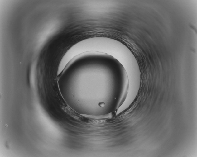 X0000094780429200712071209