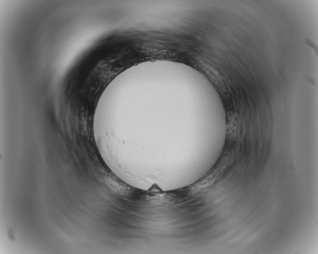 X0000094780430200712071209