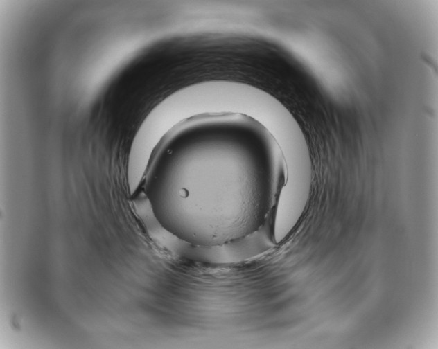 X0000094780431200712071209